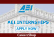 AEI Internship