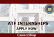 ATF Internship