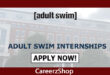 Adult Swim Internship