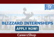 Blizzard Internship