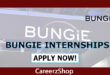 Bungie Internship