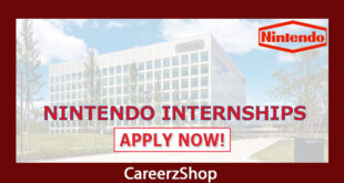 Nintendo Internship