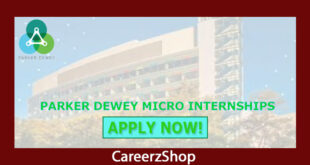 Parker Dewey Micro Internship