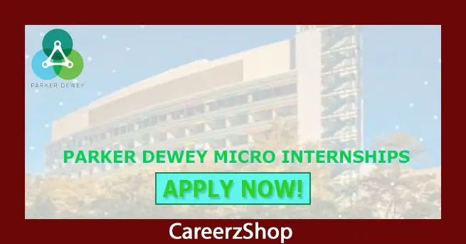 Parker Dewey Micro Internship