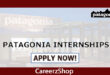 Patagonia Internship