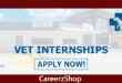 Vet Internship